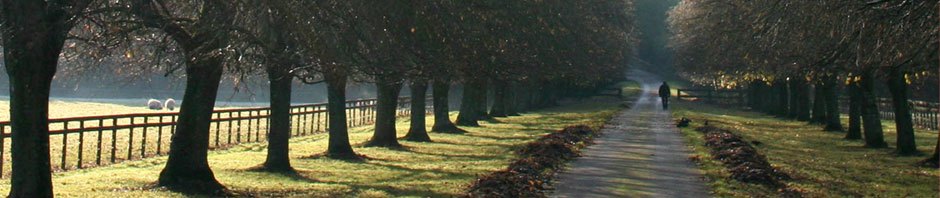 Mental health in the digital age News about education
